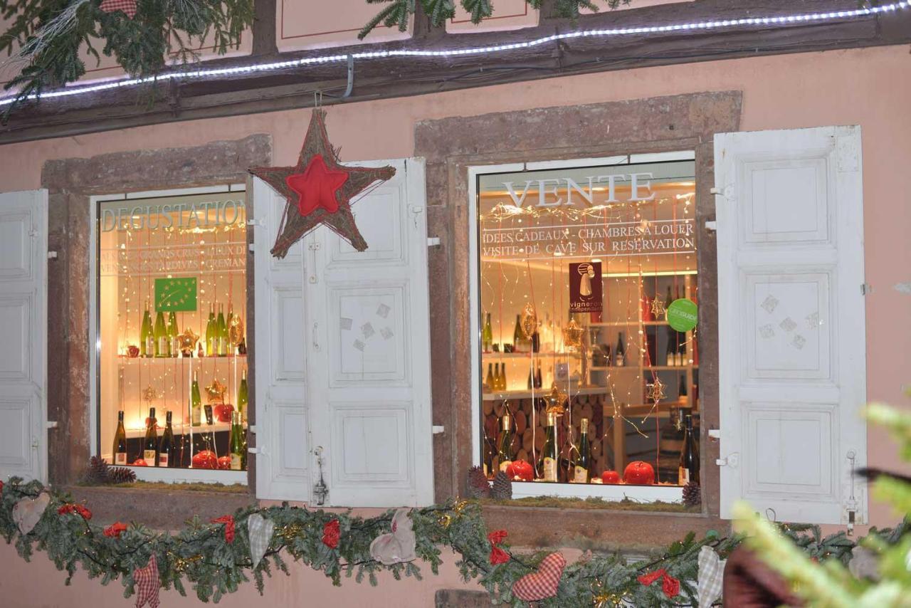 Chez Cecile Bed And Breakfast Chez Le Vigneron Colmar Bagian luar foto