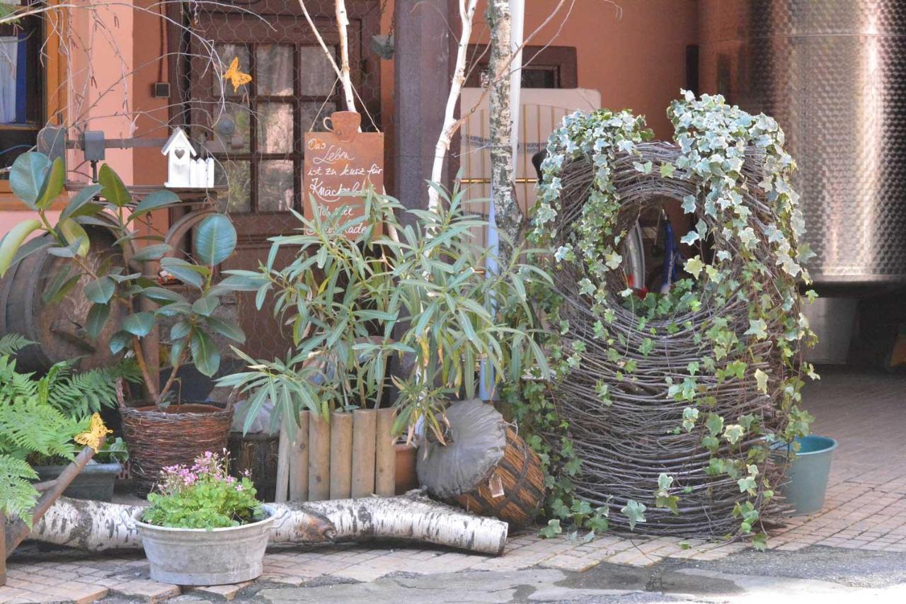 Chez Cecile Bed And Breakfast Chez Le Vigneron Colmar Bagian luar foto