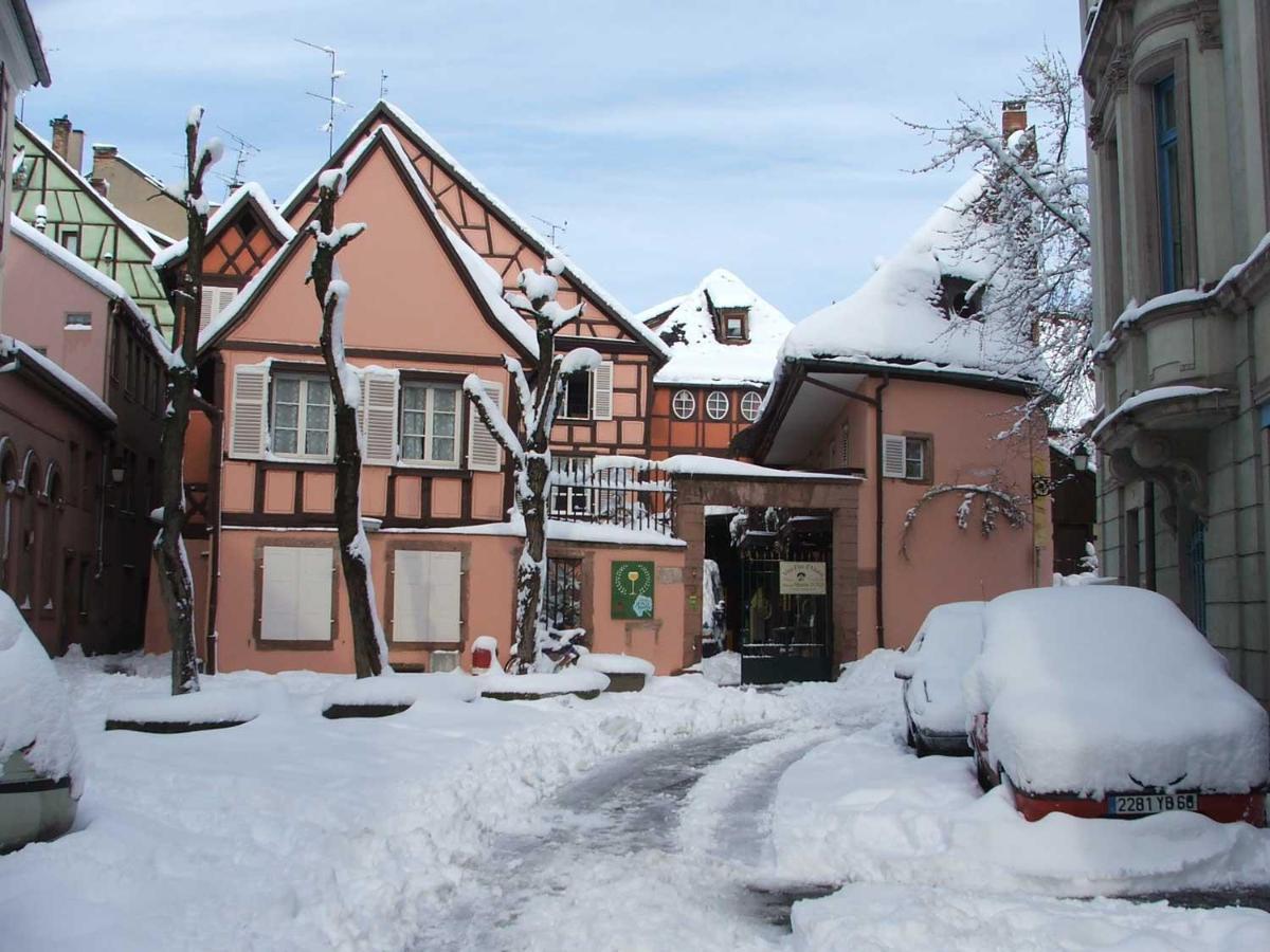 Chez Cecile Bed And Breakfast Chez Le Vigneron Colmar Bagian luar foto