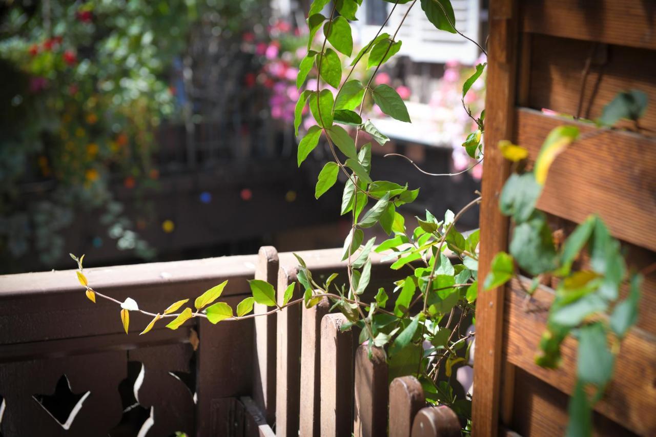 Chez Cecile Bed And Breakfast Chez Le Vigneron Colmar Bagian luar foto
