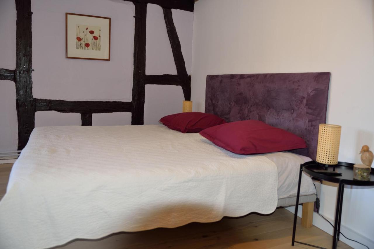 Chez Cecile Bed And Breakfast Chez Le Vigneron Colmar Bagian luar foto